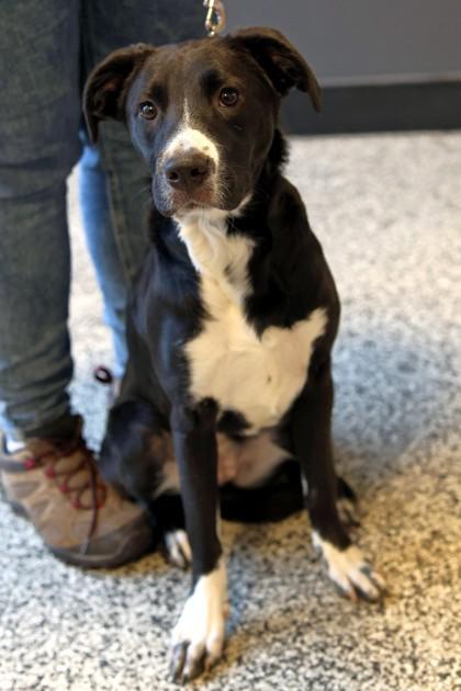 Daphne — thumbnail 2