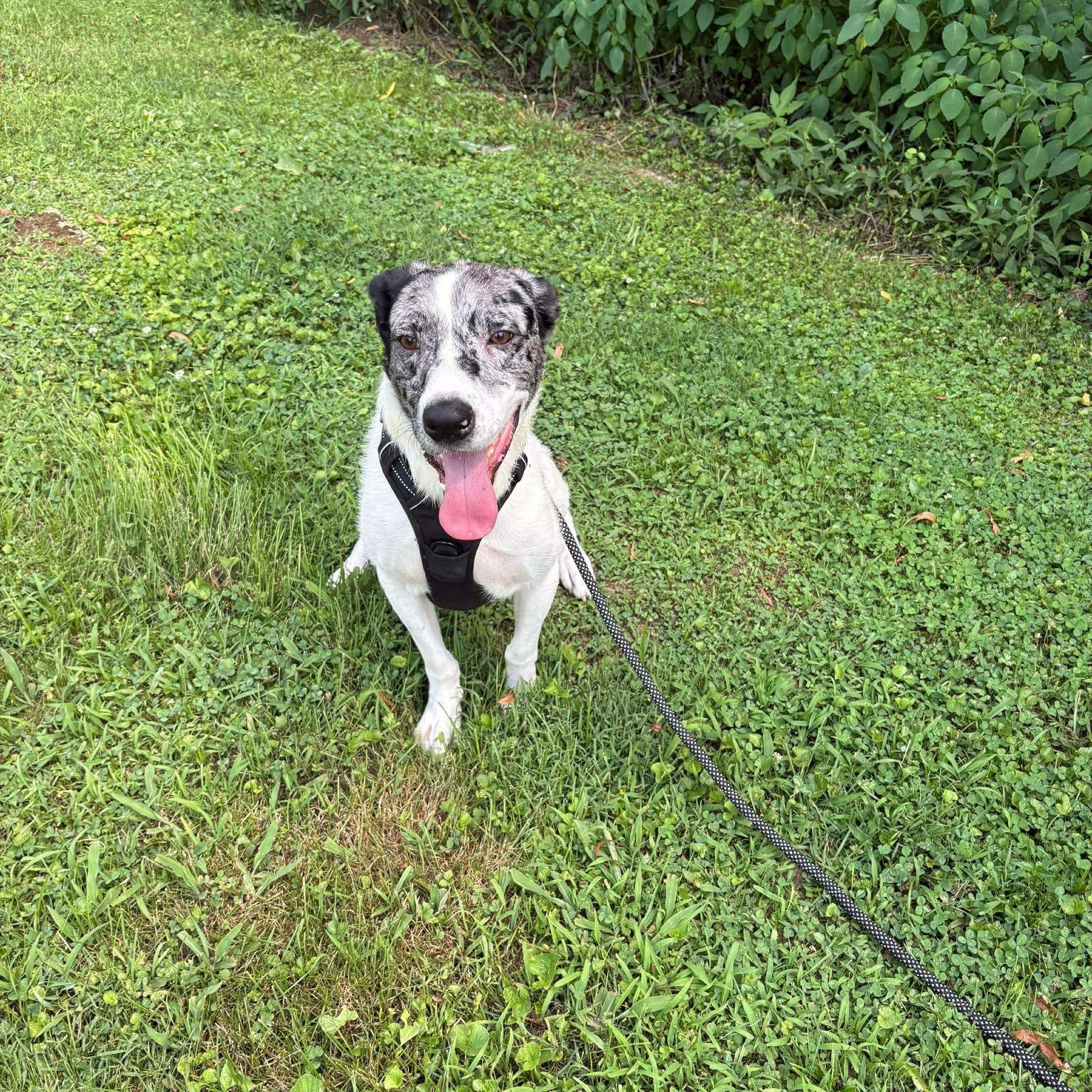 Diesel (20251123-01) — thumbnail 2