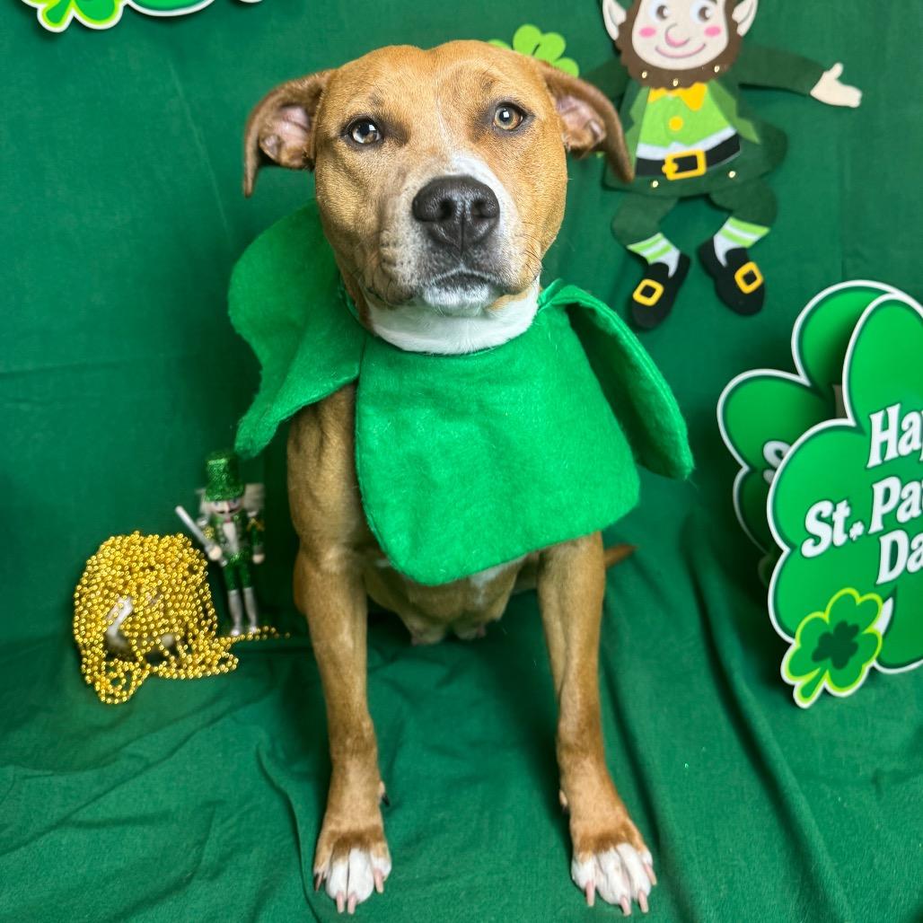 Paige — thumbnail 3