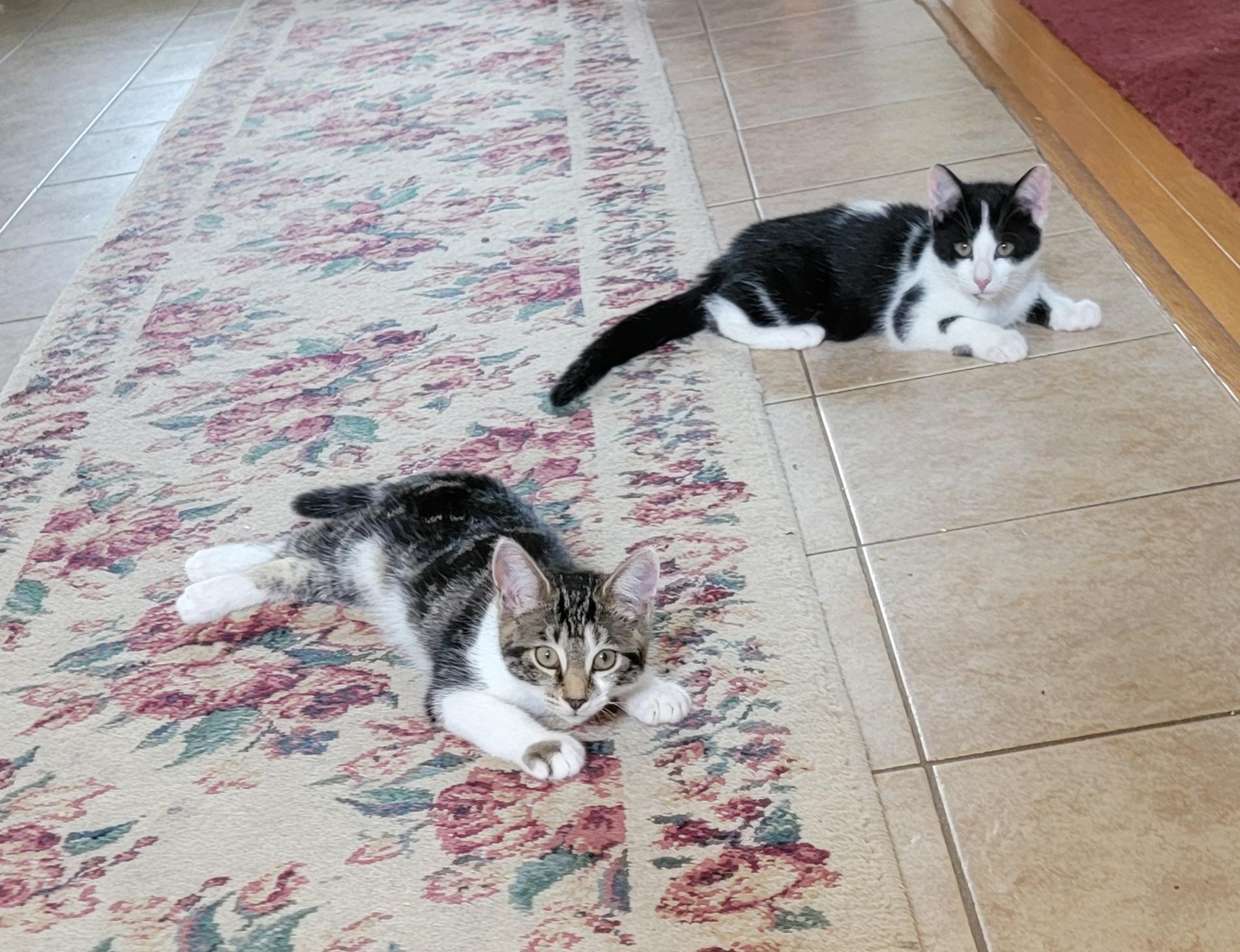 Esmie and Emily