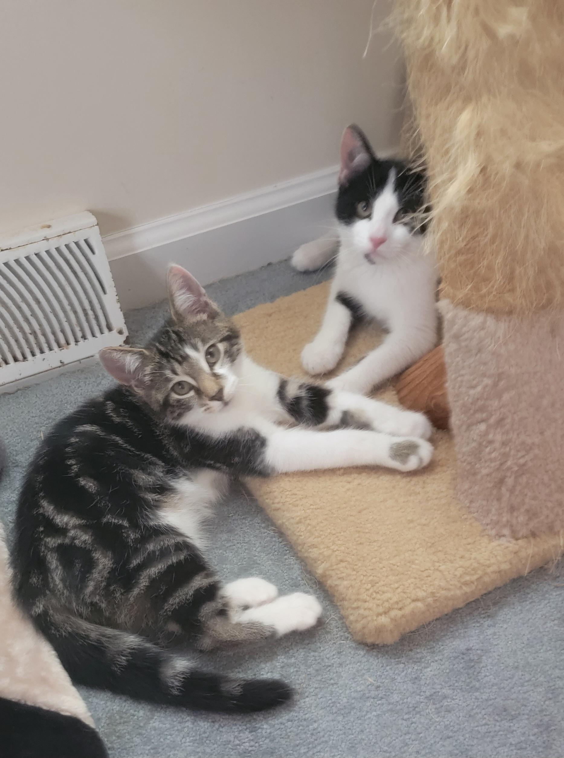 Esmie and Emily