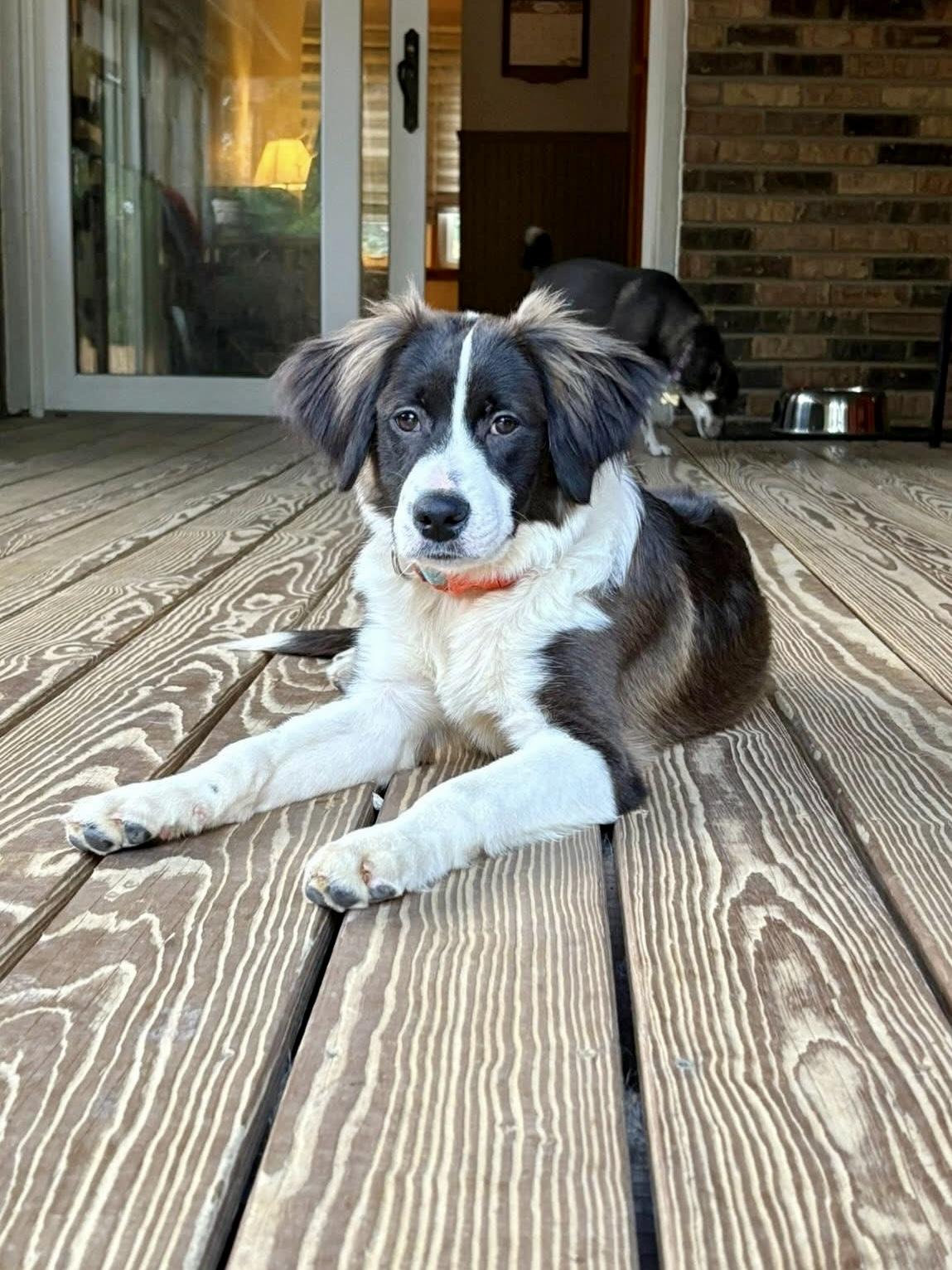 Mocha