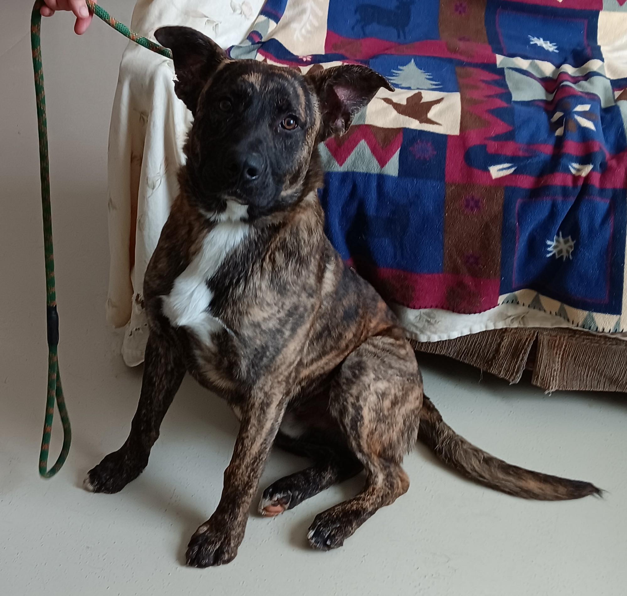 Cash, Adult Male unknown