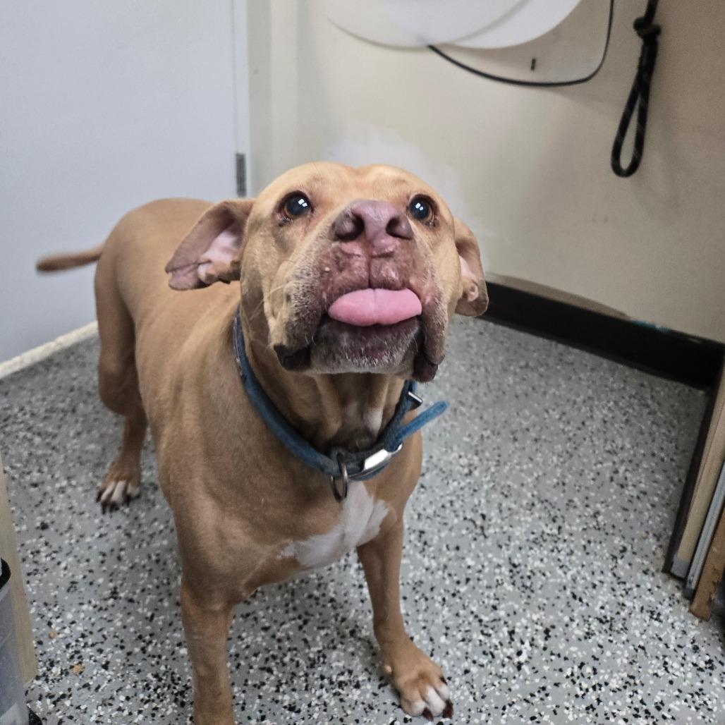 Lil Girl — thumbnail 4