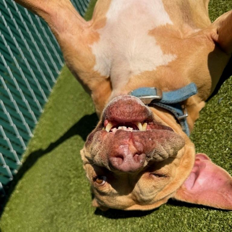 Lil Girl — thumbnail 5