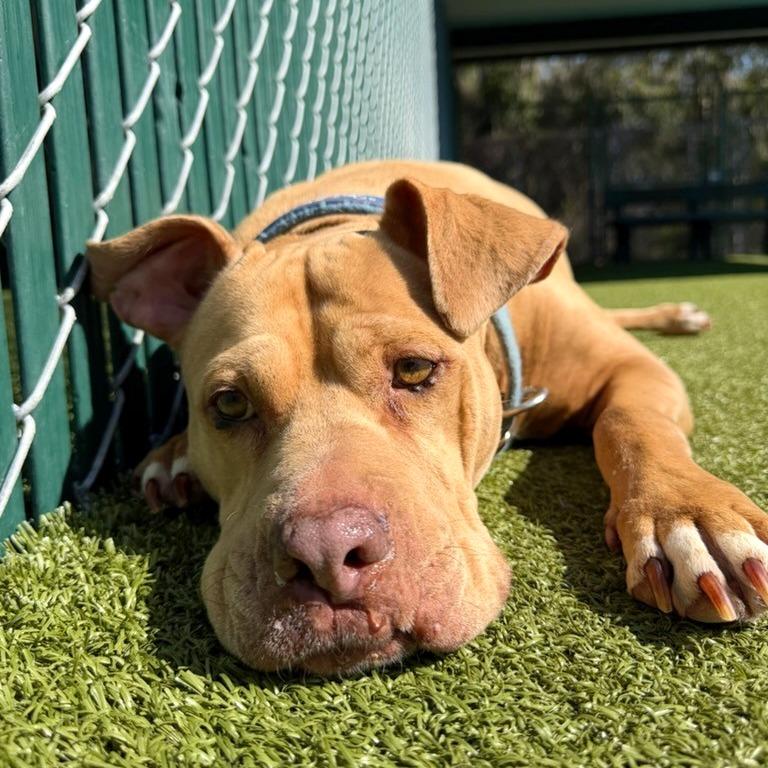 Lil Girl — thumbnail 6