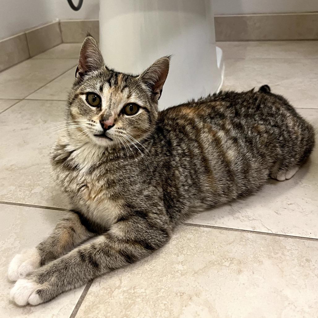 Toast — thumbnail 5