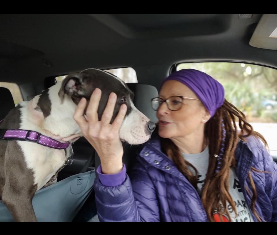 Elizabeth, Adoptable, Young Female American Staffordshire Terrier & Mixed Breed.