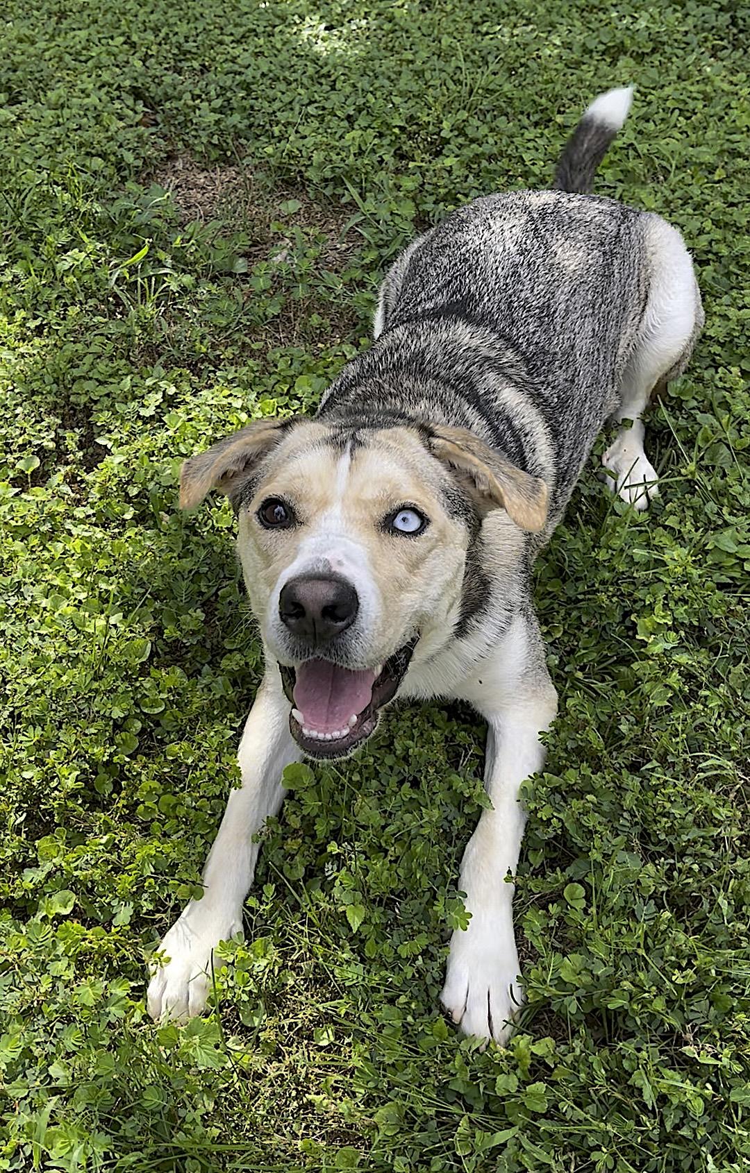 Lola — thumbnail 2