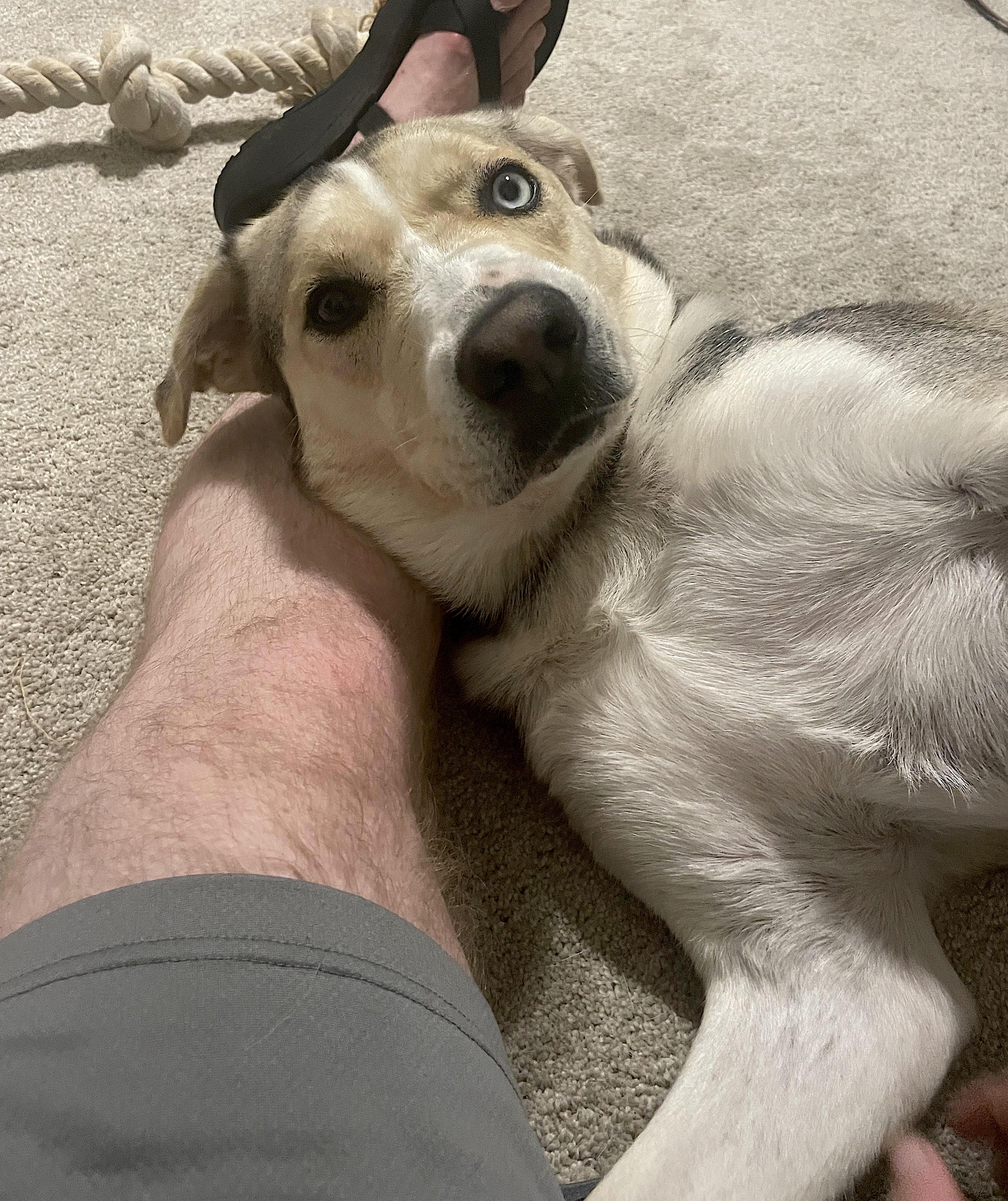 Lola — thumbnail 4