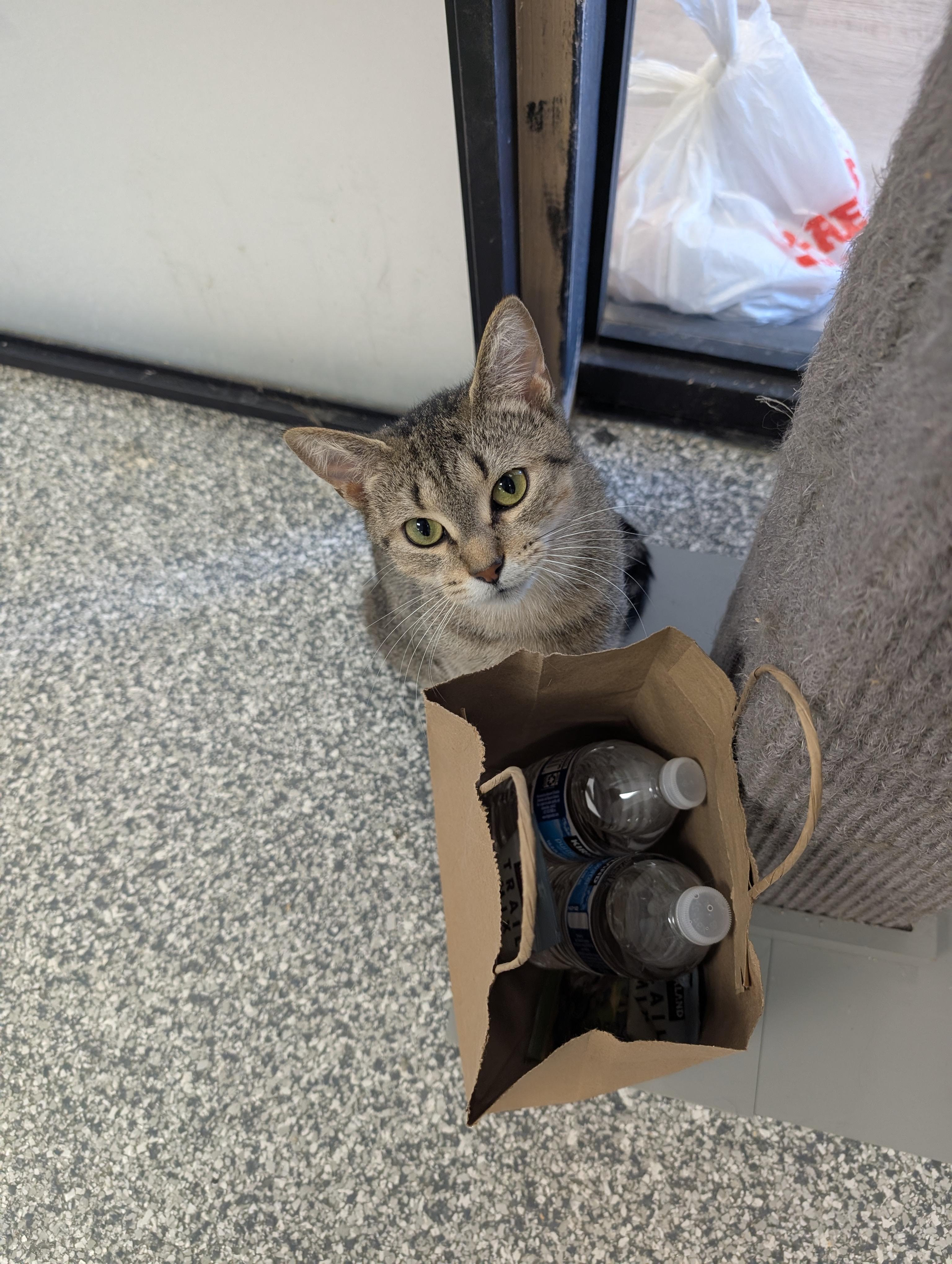 Nala