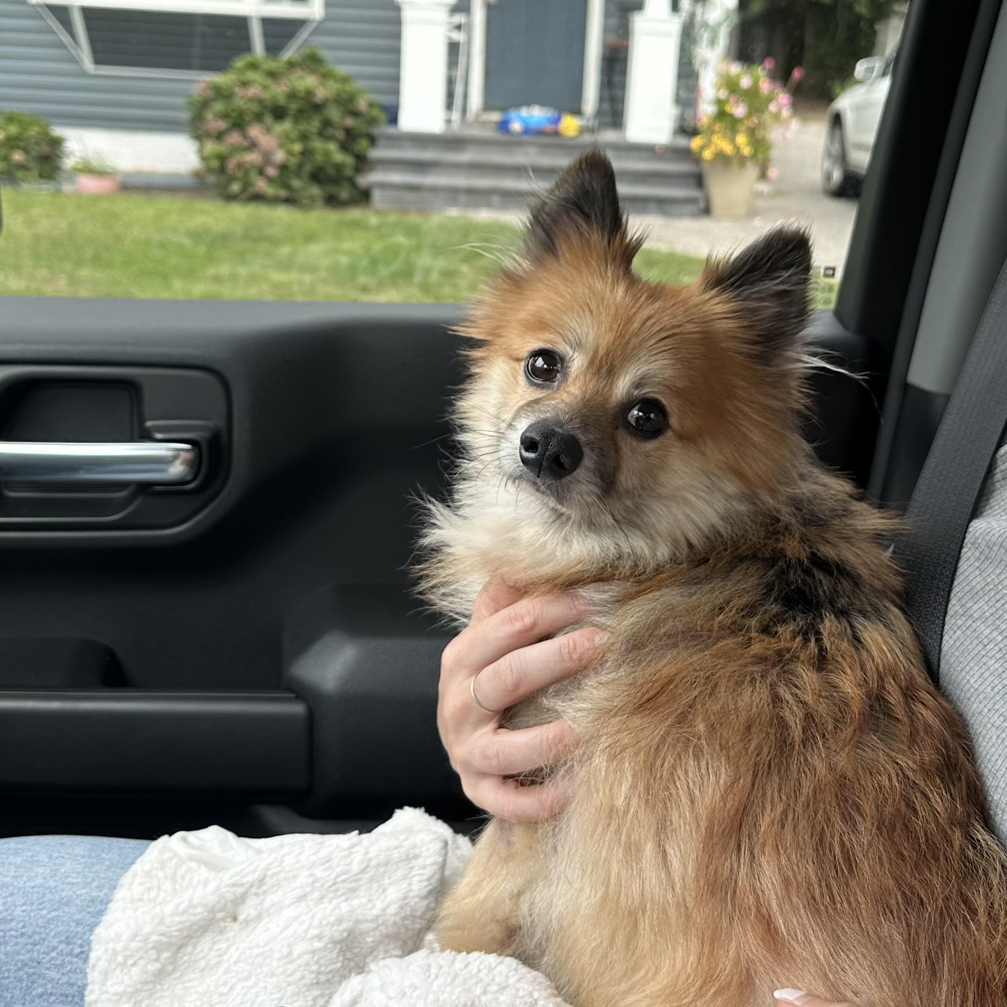 Winnie