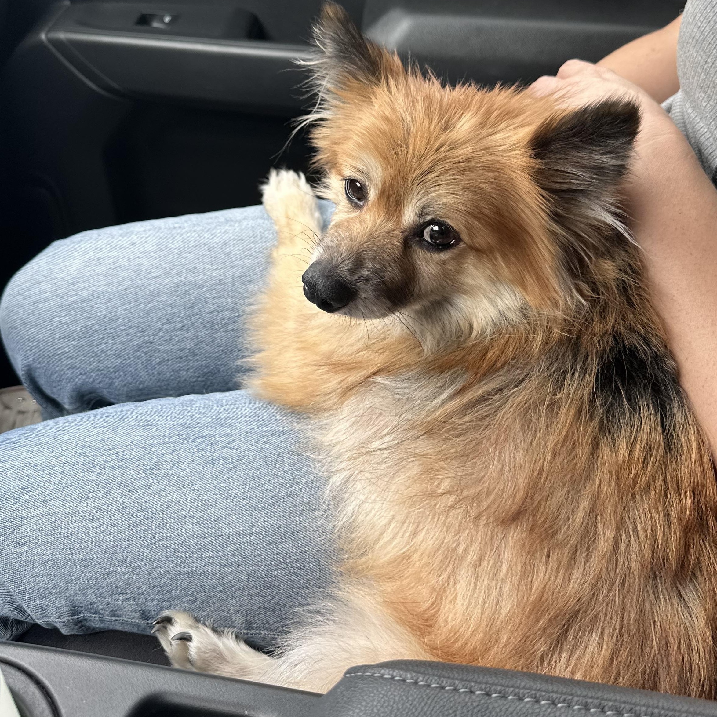 Winnie