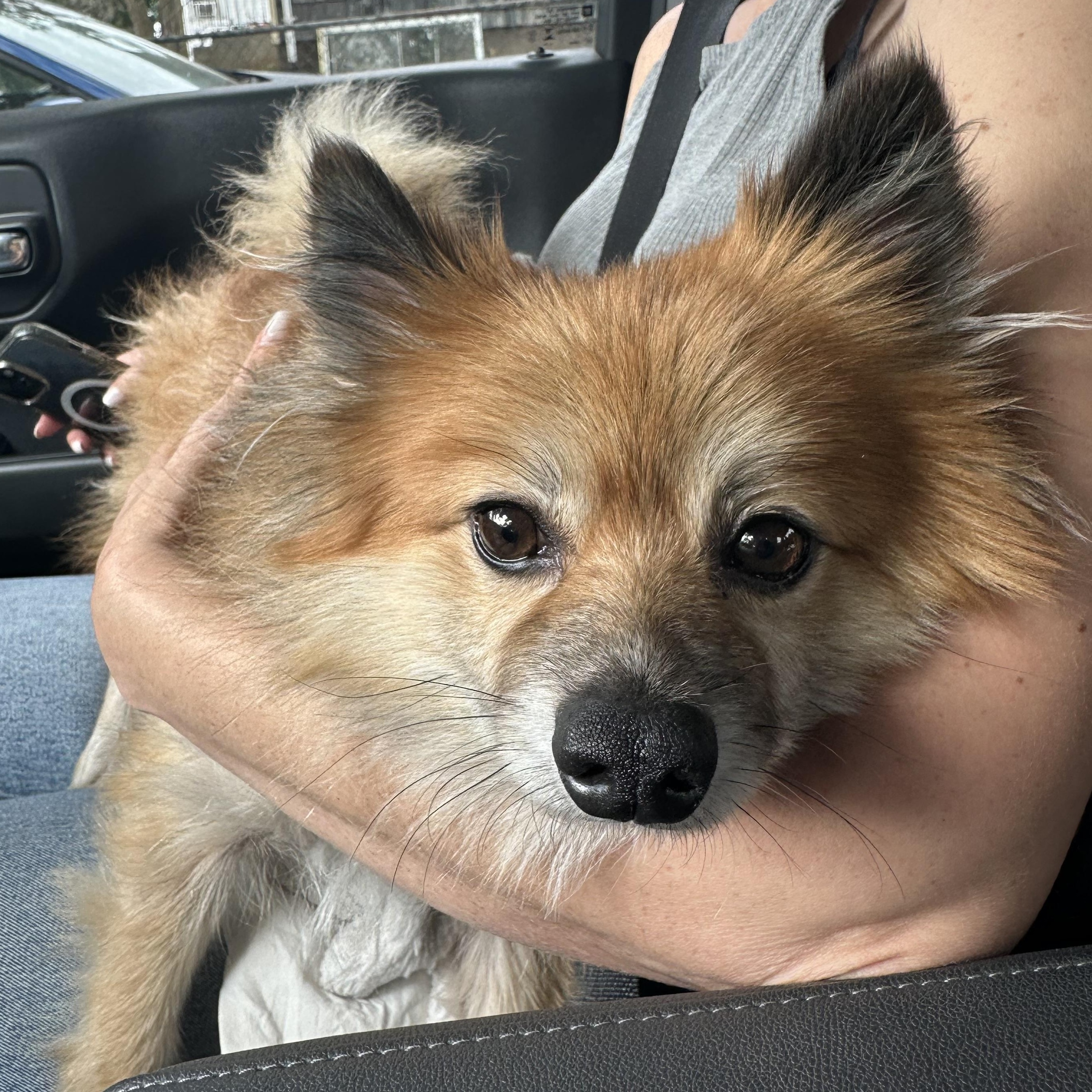 Winnie