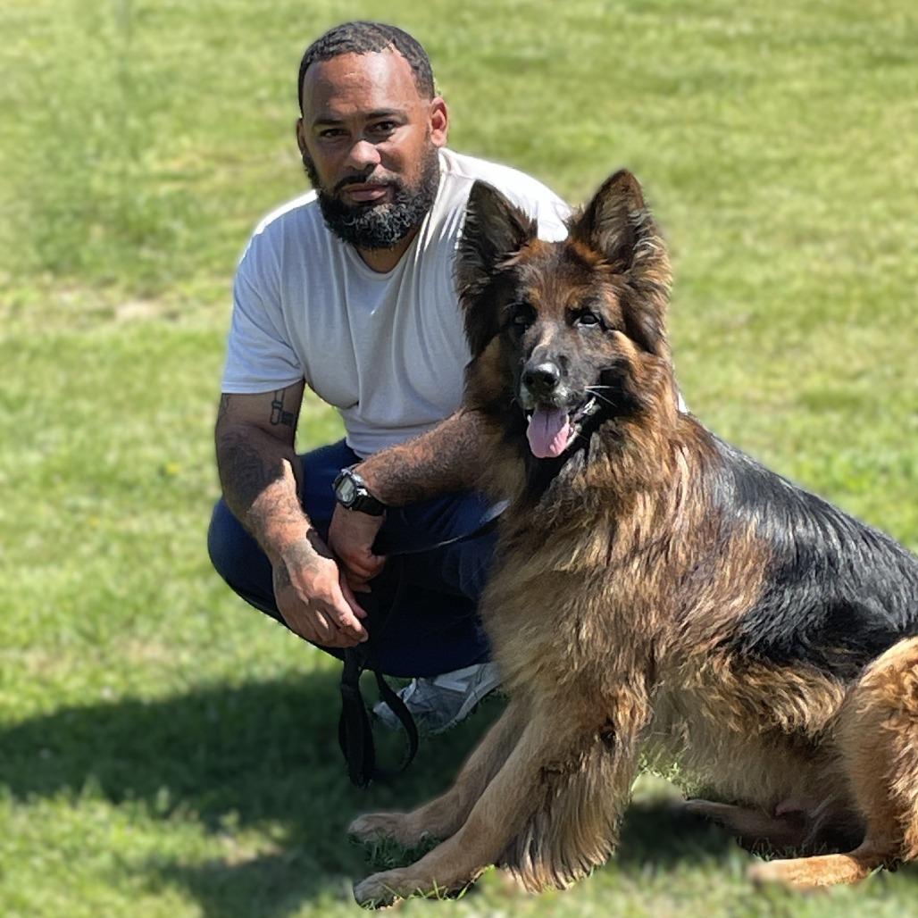 Enlarge Sully 260010, a Adoptable German Shepherd Dog in Escanaba, MI image 6/6