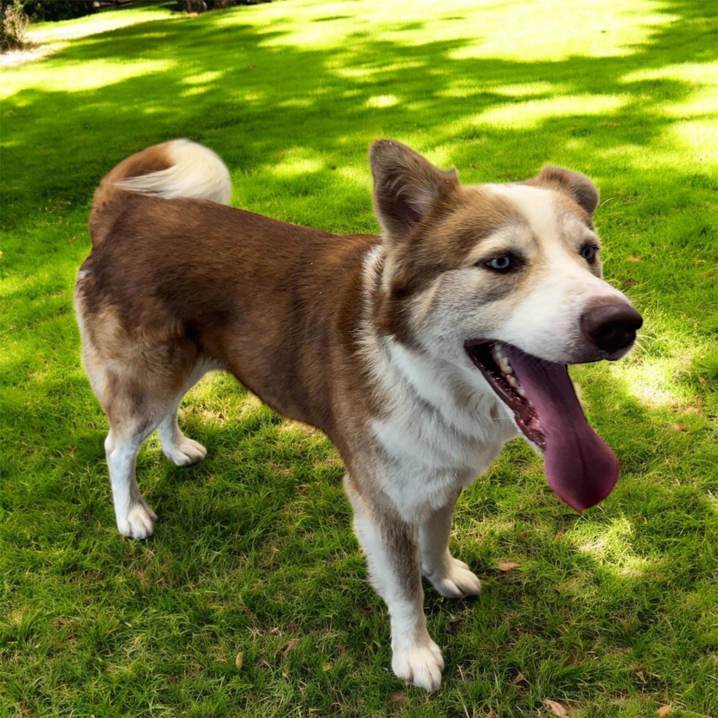 Duke