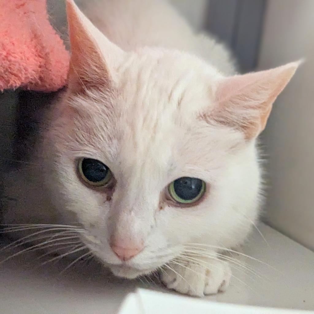 George — thumbnail 2