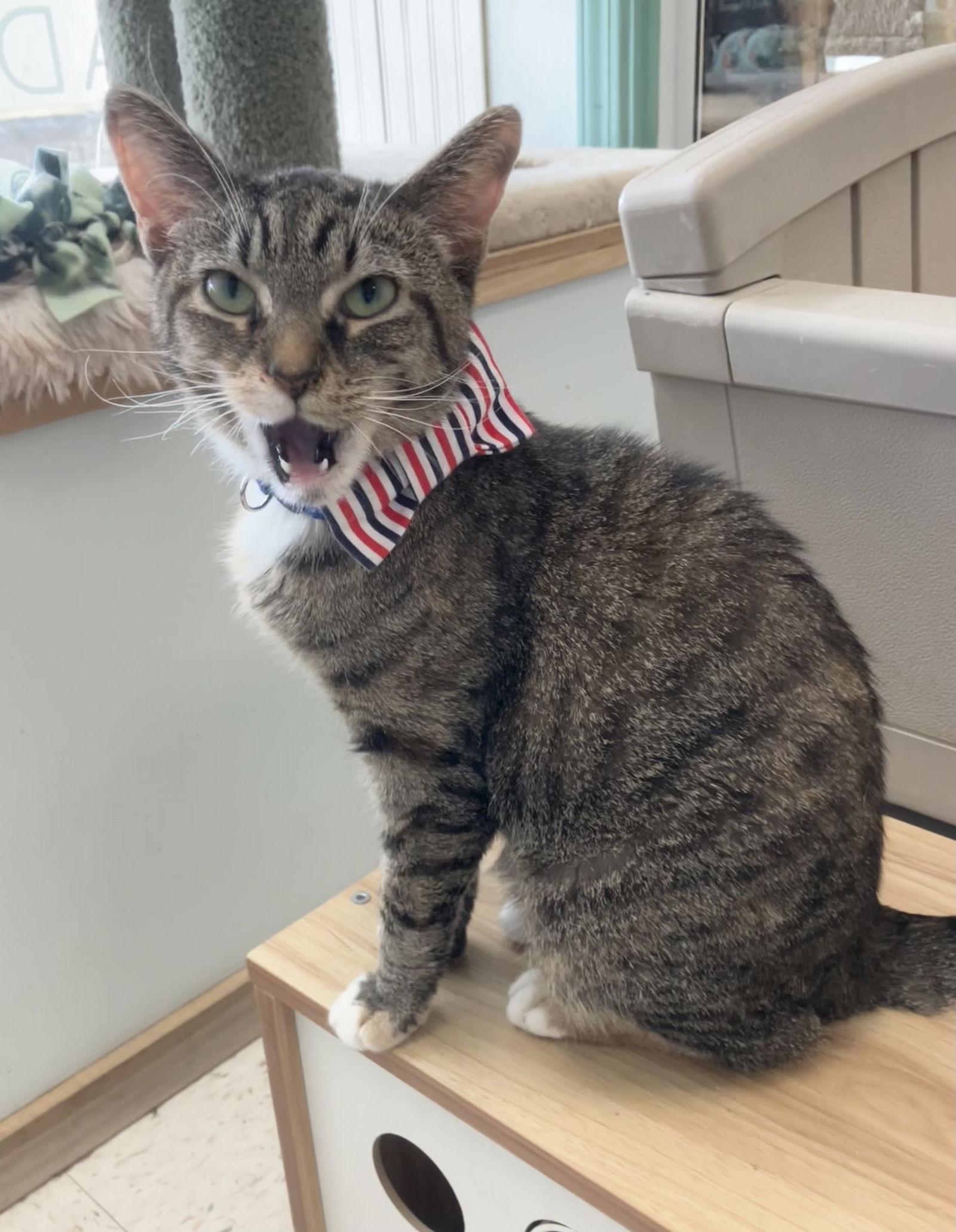 Snerdle  Kbc thumbnail 2