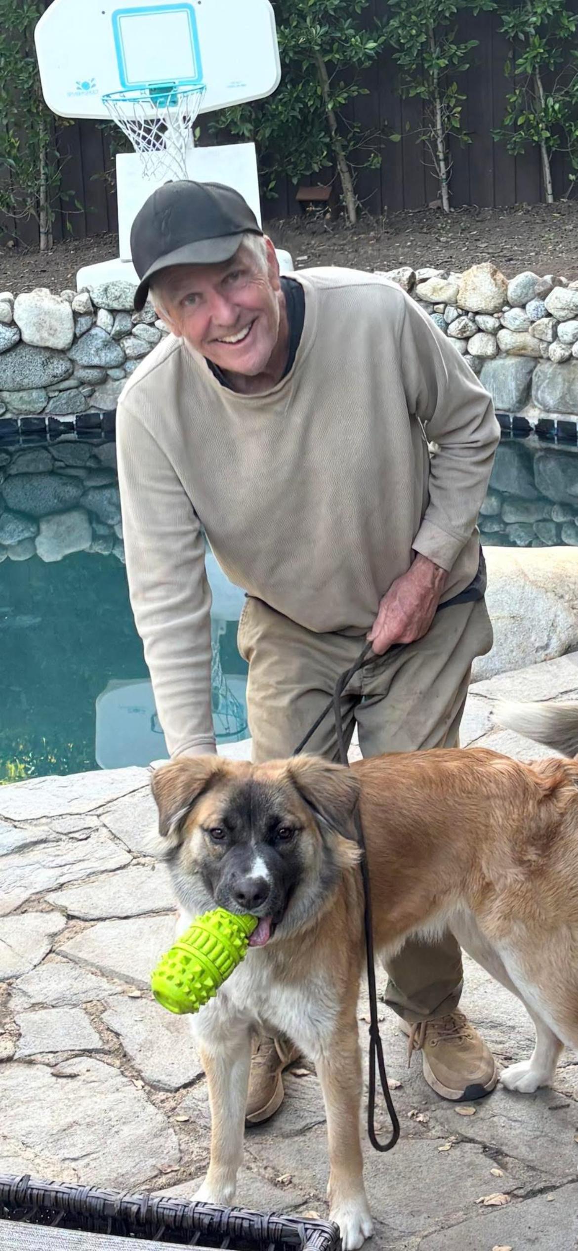 Enlarge Daisy, an adopted mixed breed in Coachella, CA image 2/4