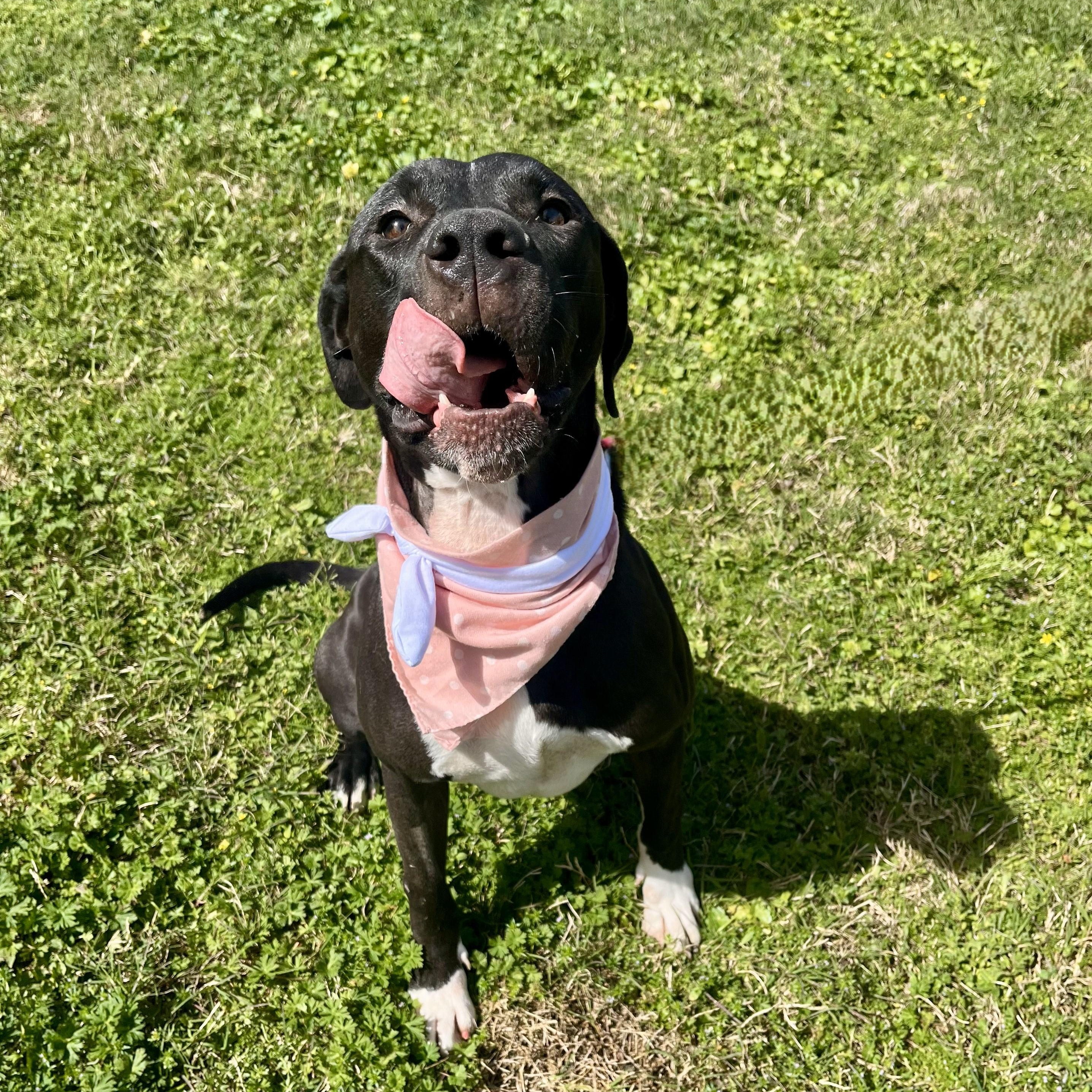 Cherry Cruz — thumbnail 6