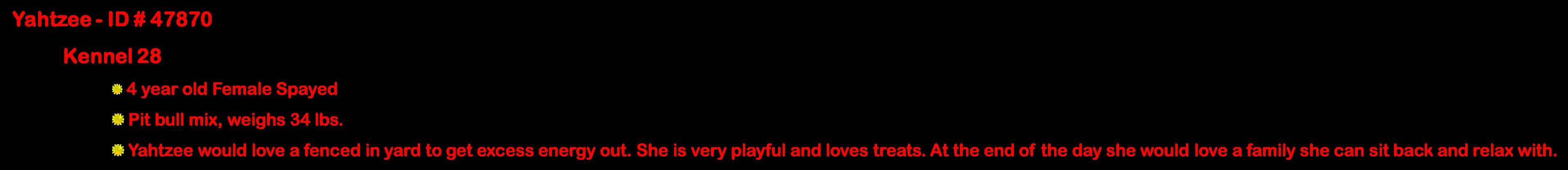 Enlarge Lola, a ADOPTABLE Pit Bull Terrier in Suffolk, VA image 2/3