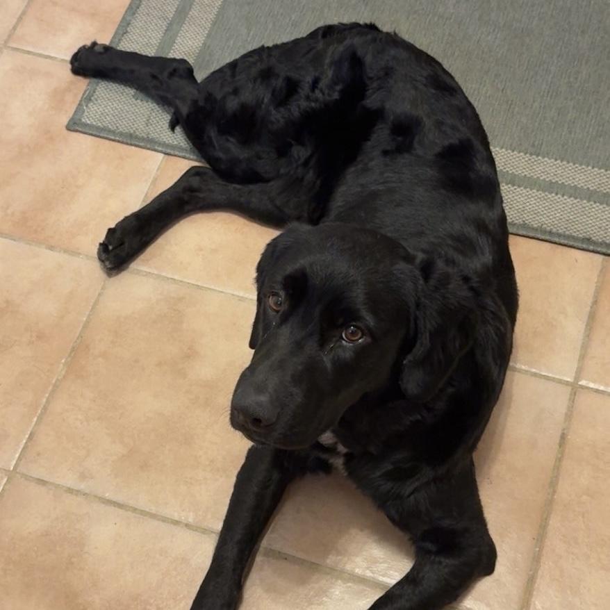 Sledder — thumbnail 6