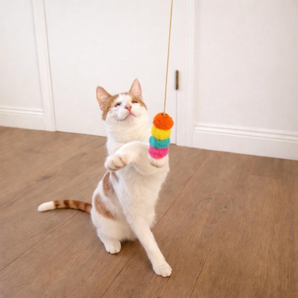 Enlarge Clinton, a ADOPTABLE Domestic Short Hair in Fountain Valley, CA image 3/6