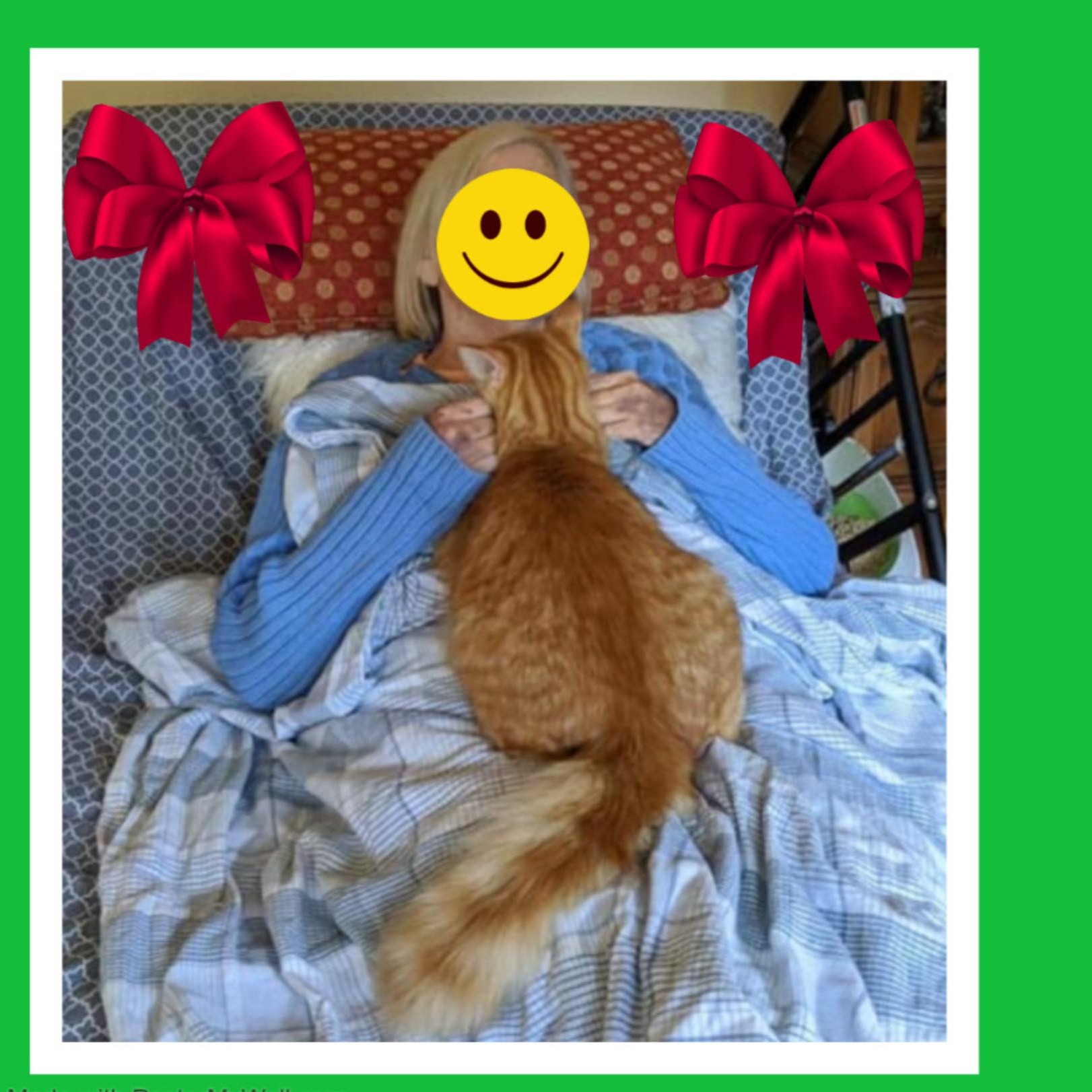 Enlarge Leo & Pinky BONDED , an adopted mixed breed in Beaverton, OR image 2/6