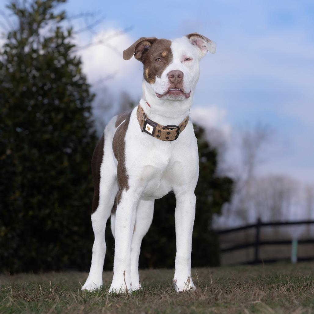 Aqui — thumbnail 2