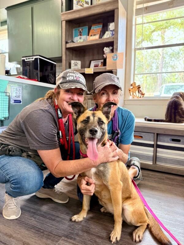 Summer Smiles The Sunshine Girl