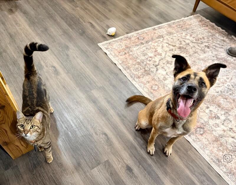 Summer Smiles The Sunshine Girl — thumbnail 2