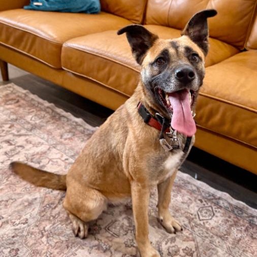 Summer Smiles The Sunshine Girl — thumbnail 5