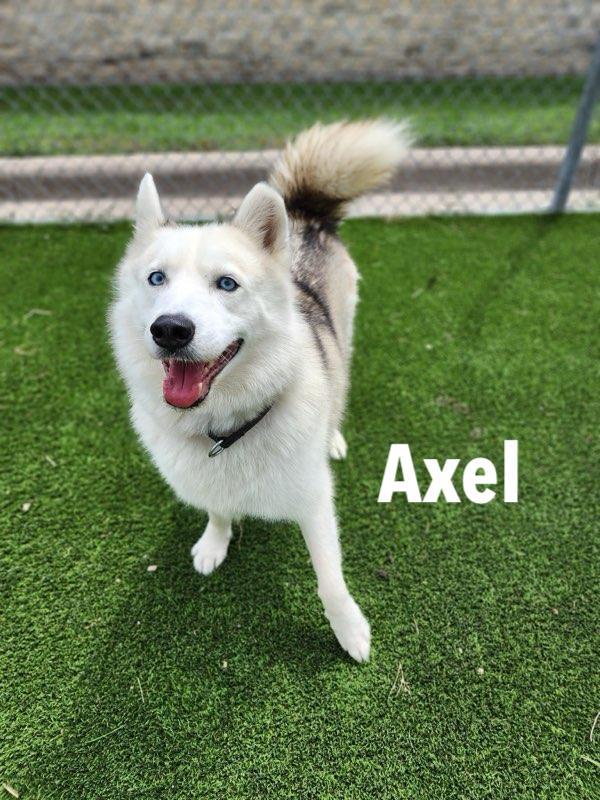 Axel and Canada : Bonded Tragic Pair — thumbnail 3