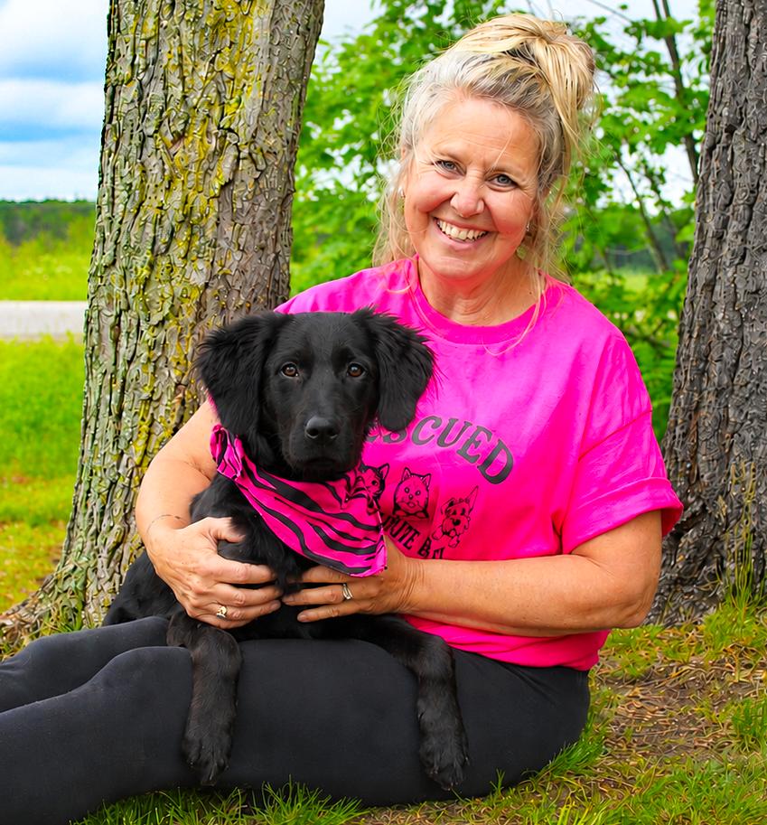 Artemis, an adopted mixed breed in Cheboygan, MI image 4/6