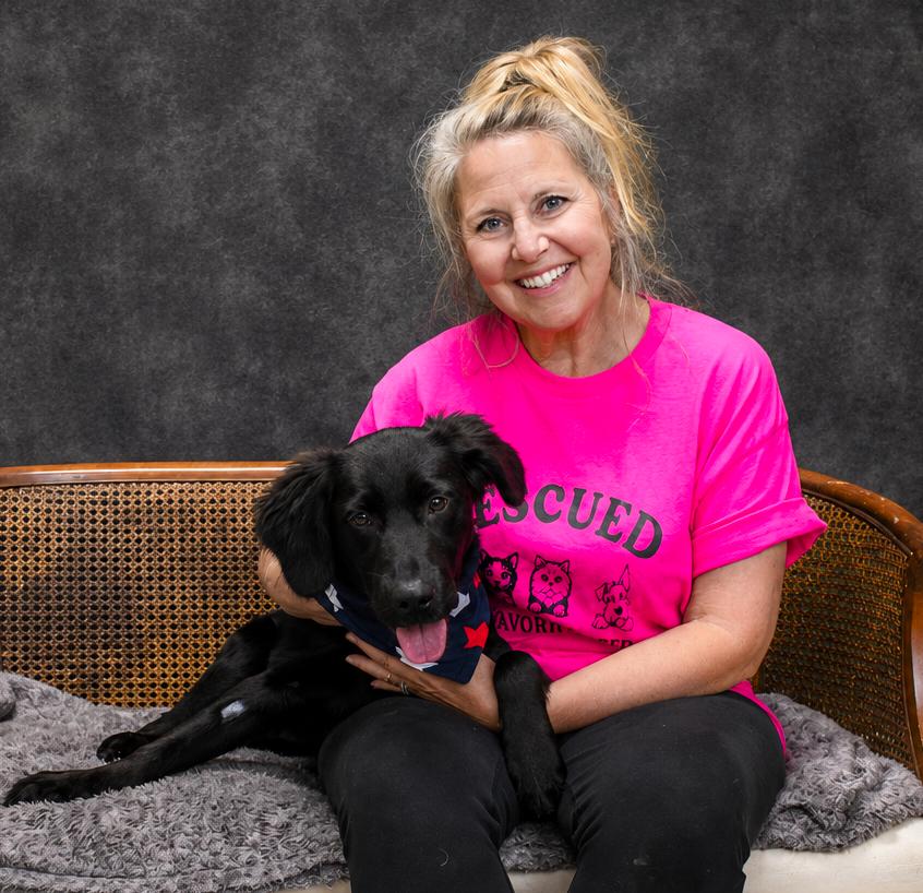 Artemis, an adopted mixed breed in Cheboygan, MI image 5/6