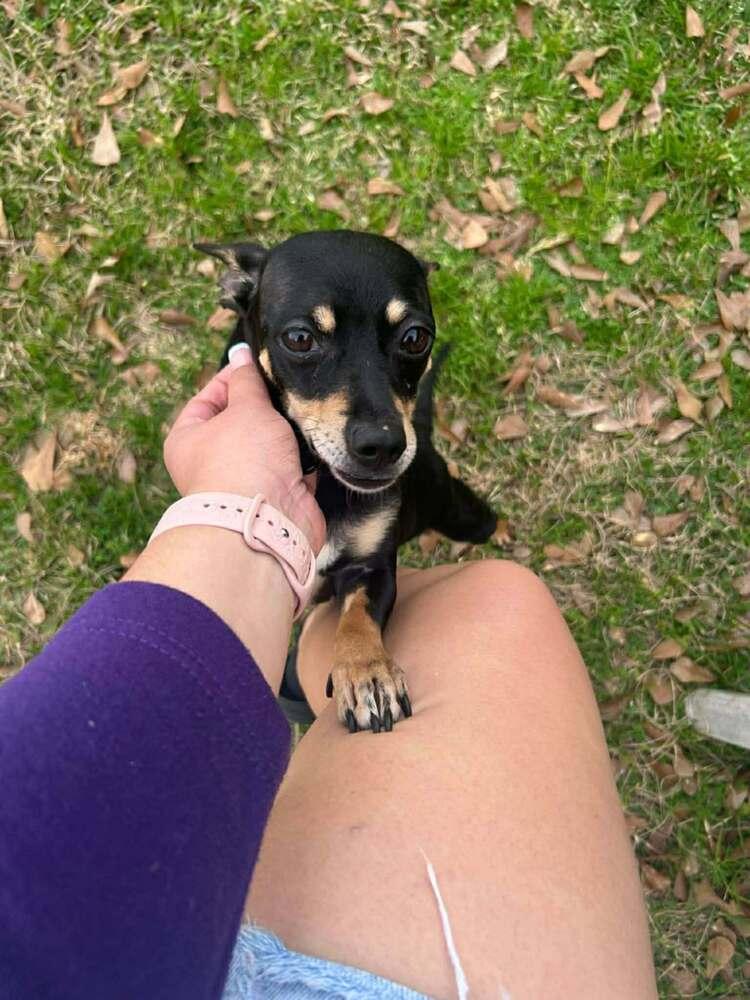 Daisy — thumbnail 2