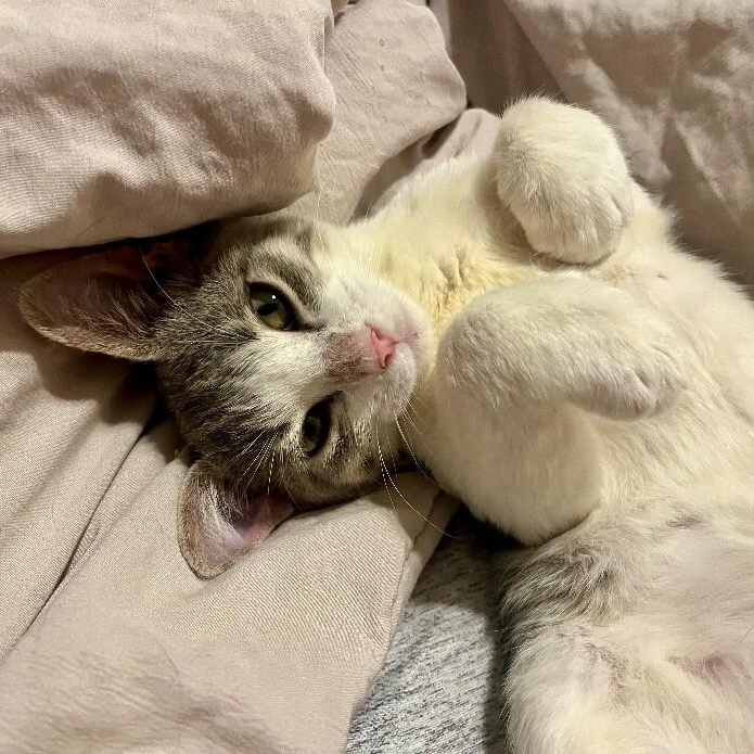 Meeny Baby — thumbnail 3