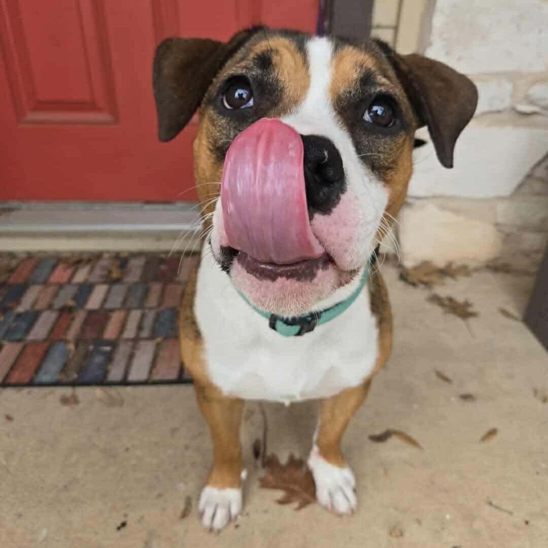 Nona — thumbnail 4