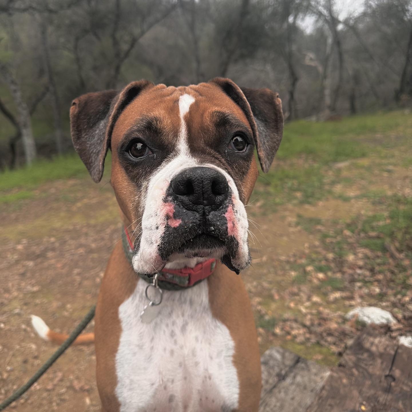 Grace — thumbnail 2