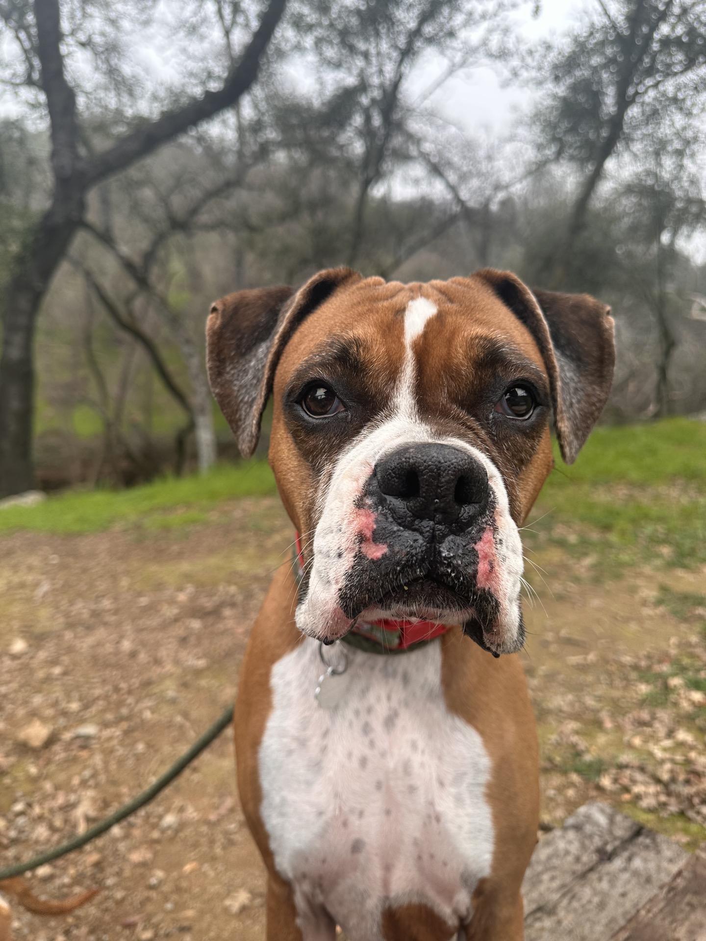 Grace — thumbnail 3