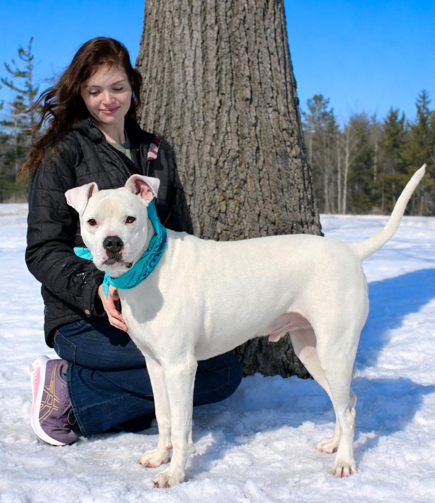 Enlarge Finn, a ADOPTABLE mixed breed in Cheboygan, MI image 4/6