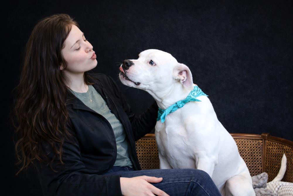 Enlarge Finn, a ADOPTABLE mixed breed in Cheboygan, MI image 3/6