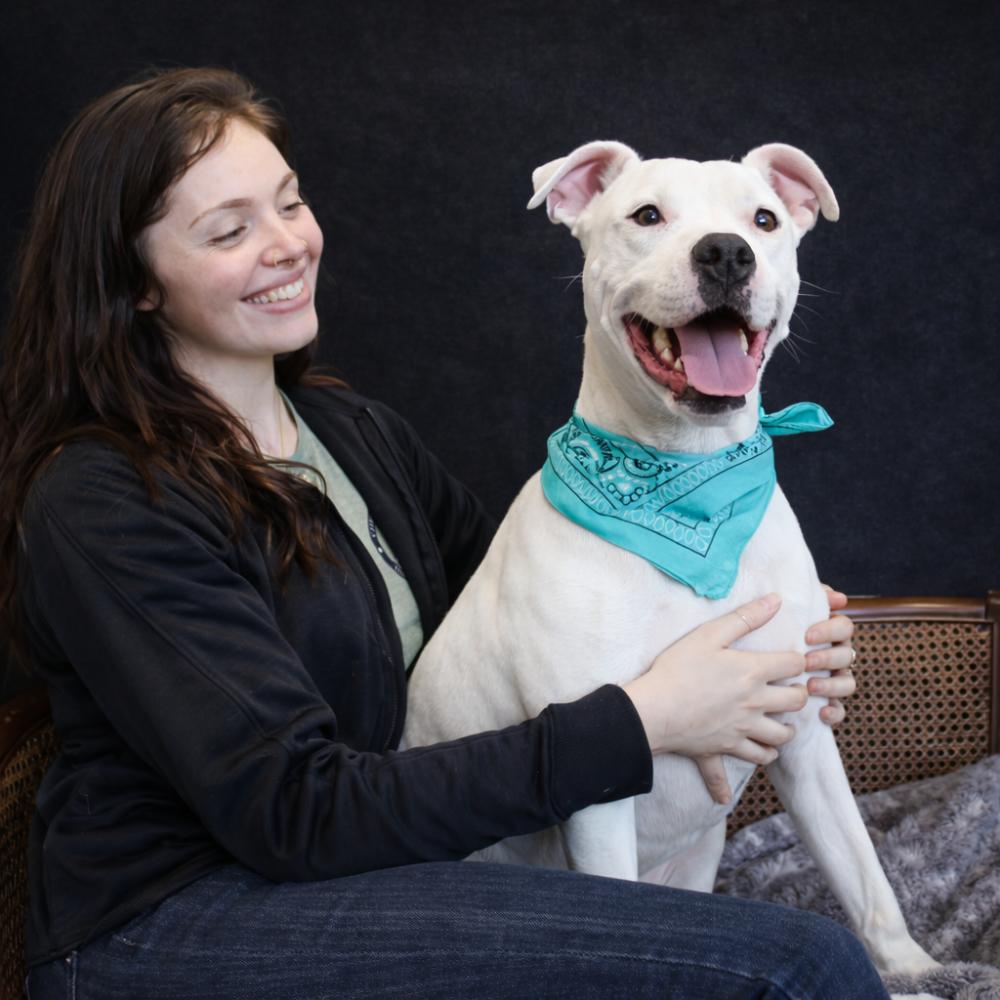 Enlarge Finn, a ADOPTABLE mixed breed in Cheboygan, MI image 2/6