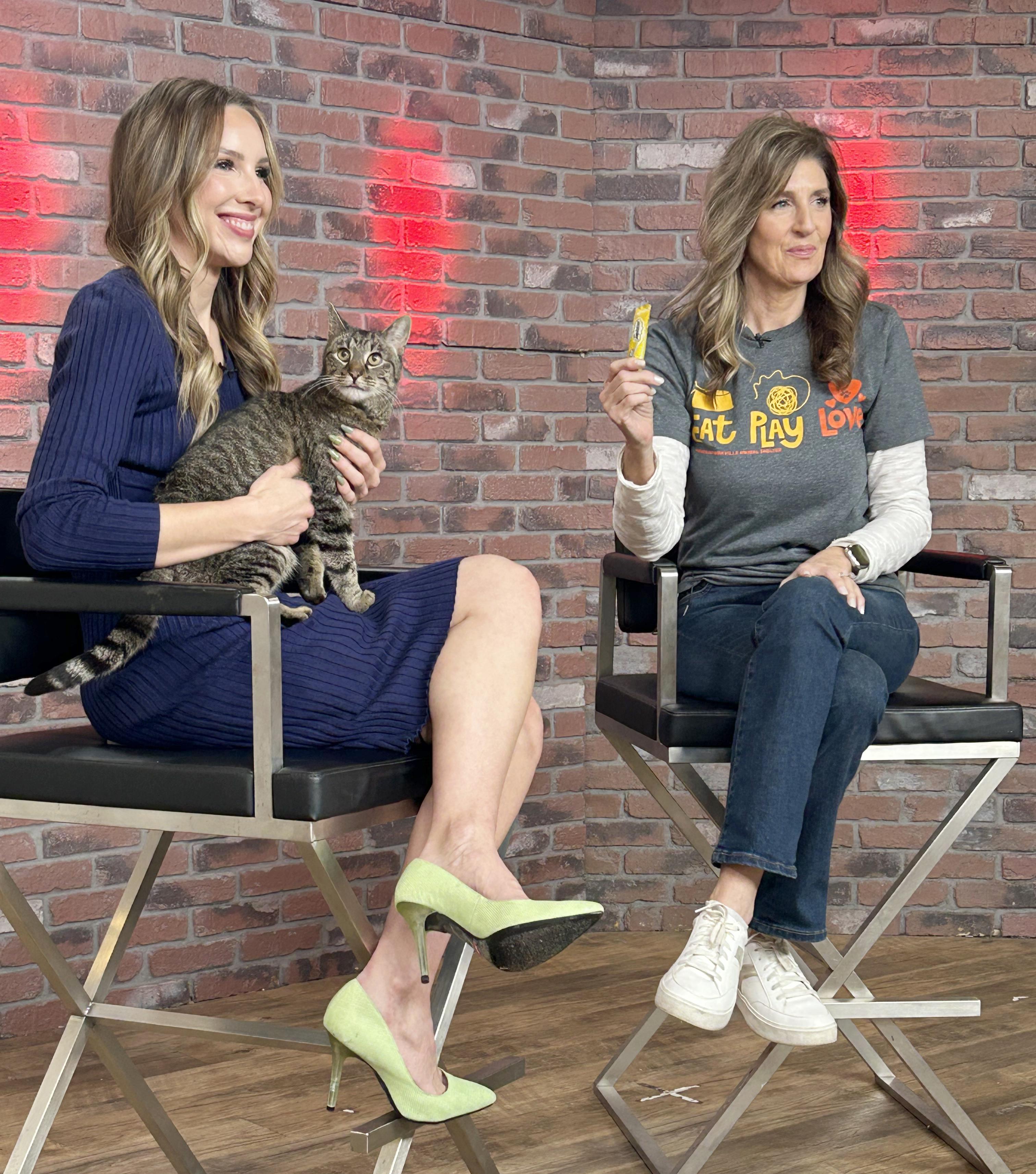 Sweetie — thumbnail 5