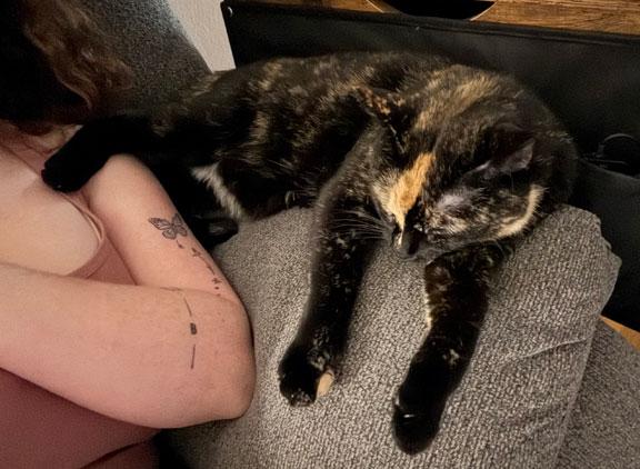 Briar Rose/Leeann COURTESY LISTING, an adoptable Tortoiseshell in Fort Leavenworth, KS image 2/6