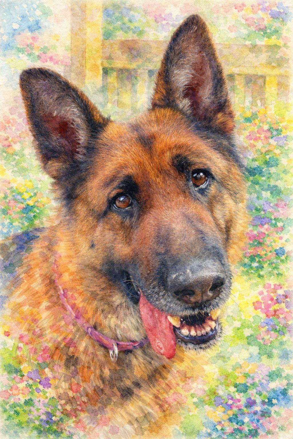 Stella, ADOPTABLE, Adult Female German Shepherd Dog.