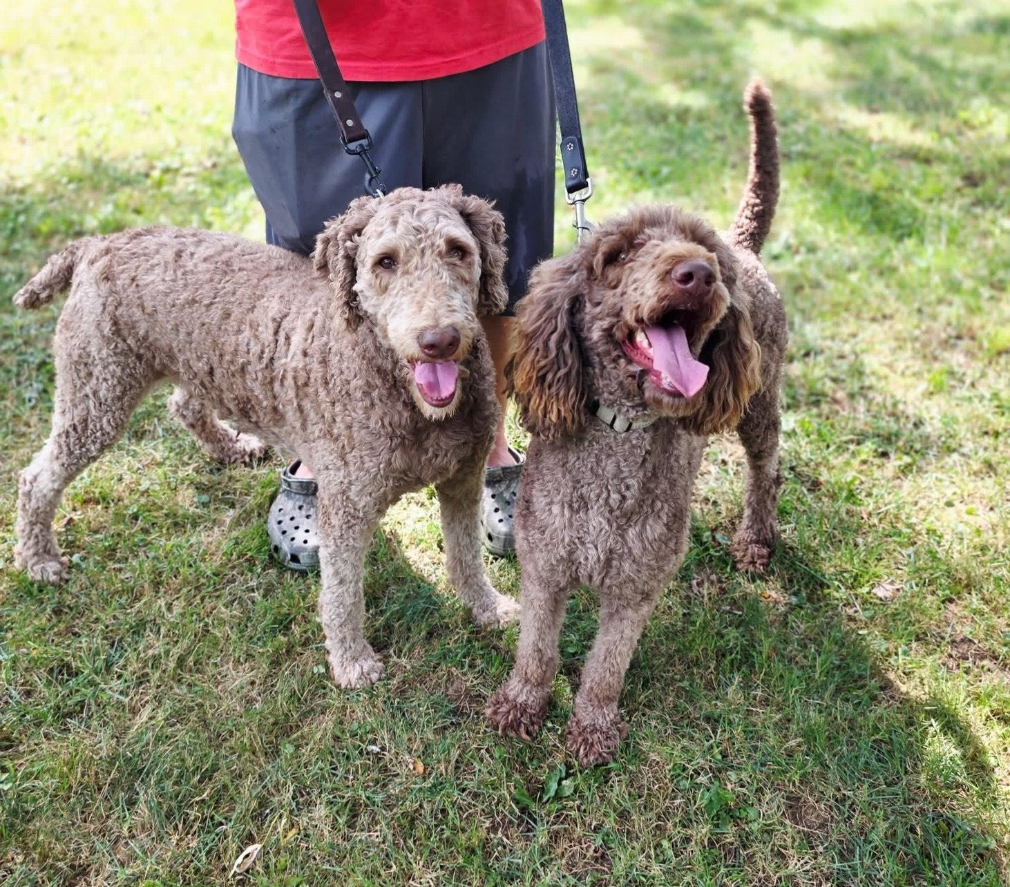 Charley & Darcy