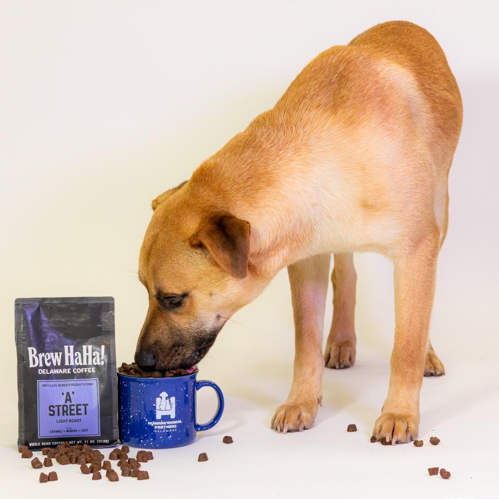 Dorado — thumbnail 3