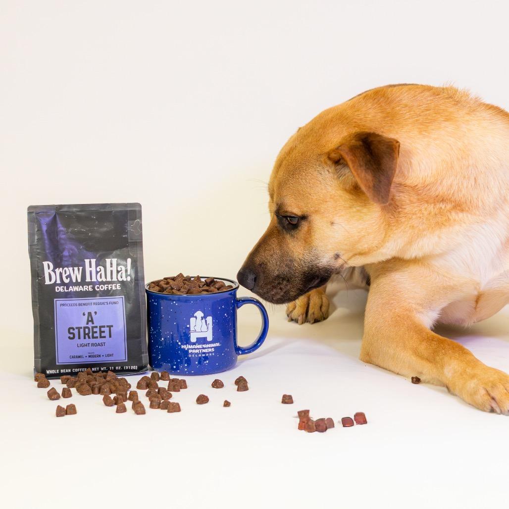 Dorado — thumbnail 4