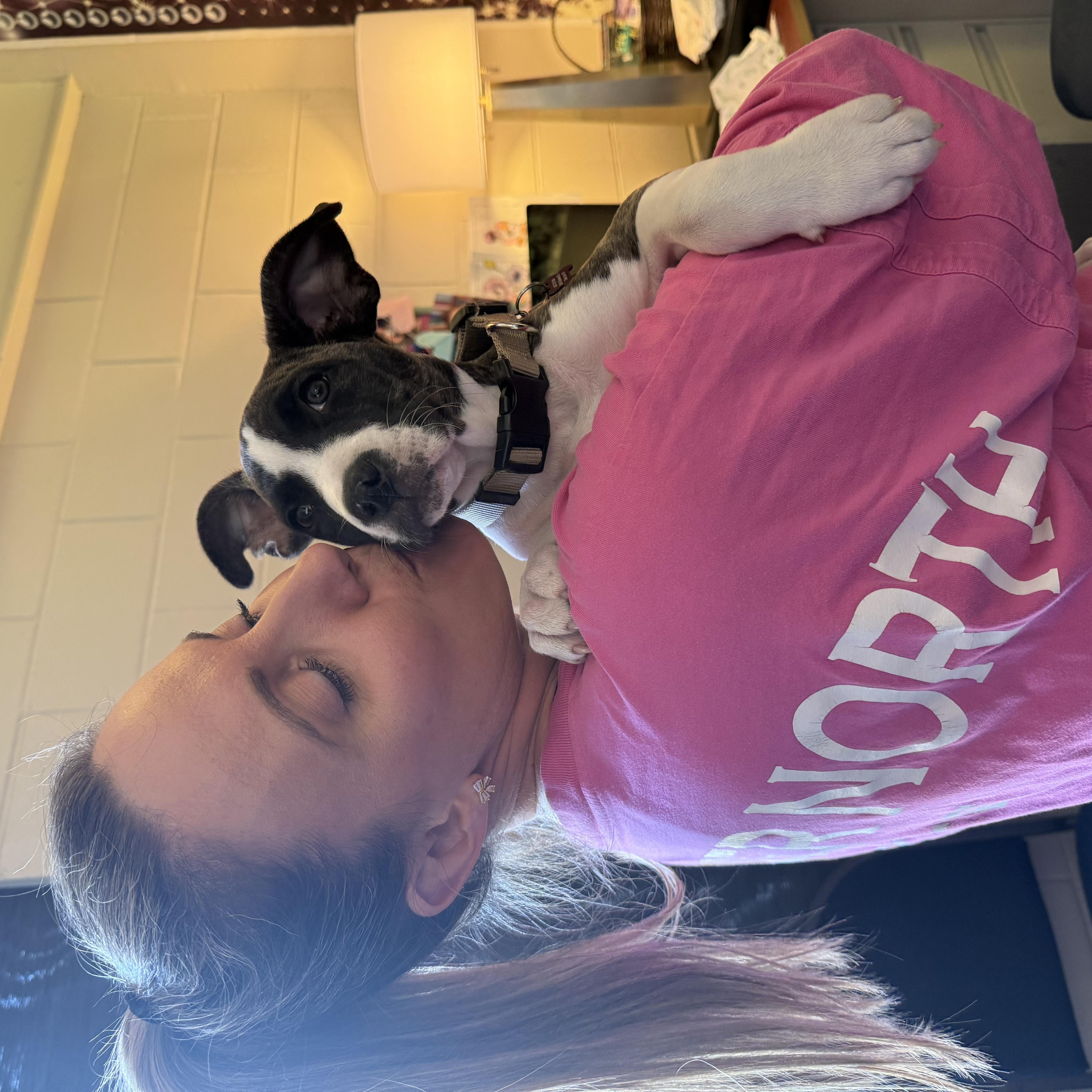 Enlarge Bella Boots, a Adoptable Mixed Breed in Kenosha, WI image 4/5